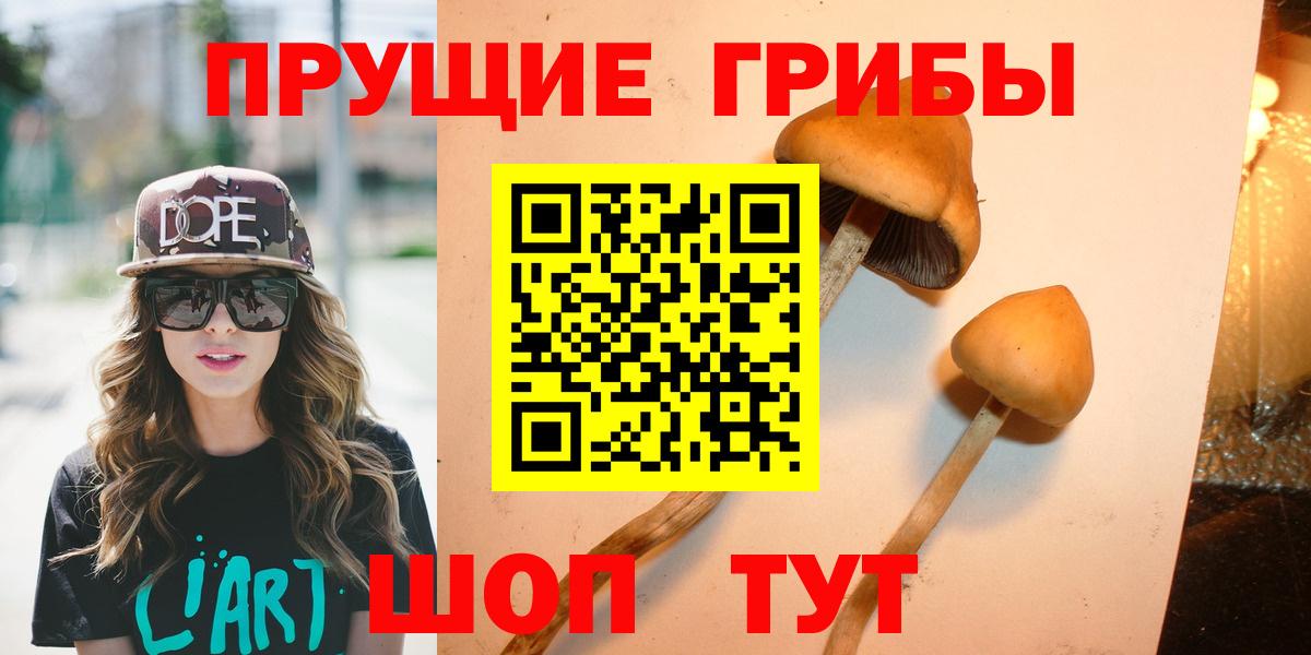 Черняховск  Псилоцибиновые грибы прущие грибы  Вход с VPN  Псилоцибиновые грибы мухоморы 